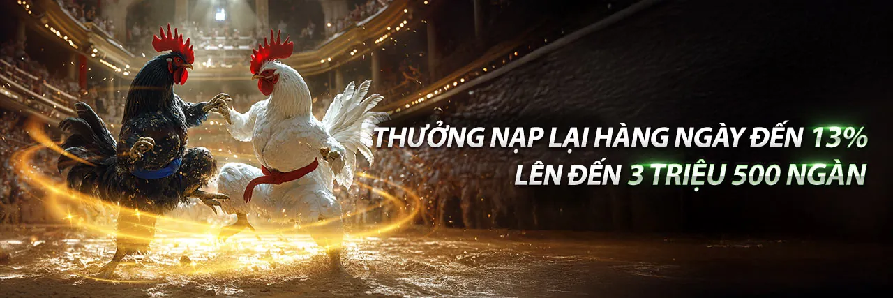 Sân đá gà trực tuyến đầy kịch tính tại 88xx nhà cái